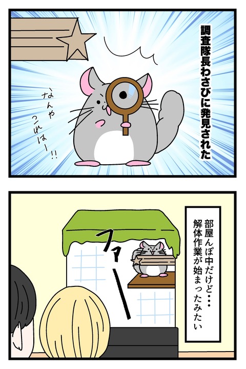 コミック67_034のコピー