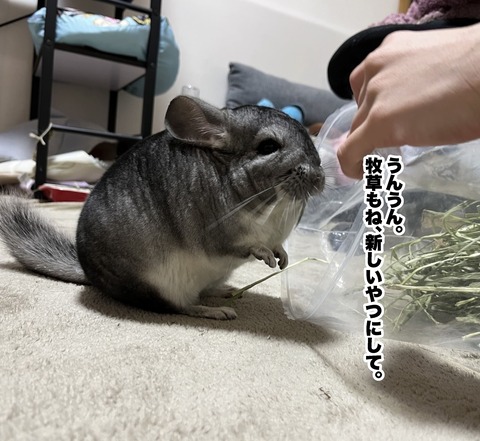 コミック68_029