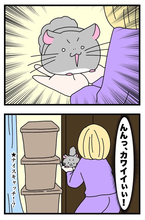 コミック66_001のコピー3