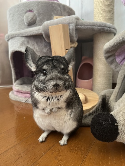 line_oa_chat_231223_145826