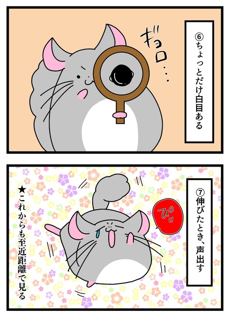 個展で入れたやつ_008 copy 4