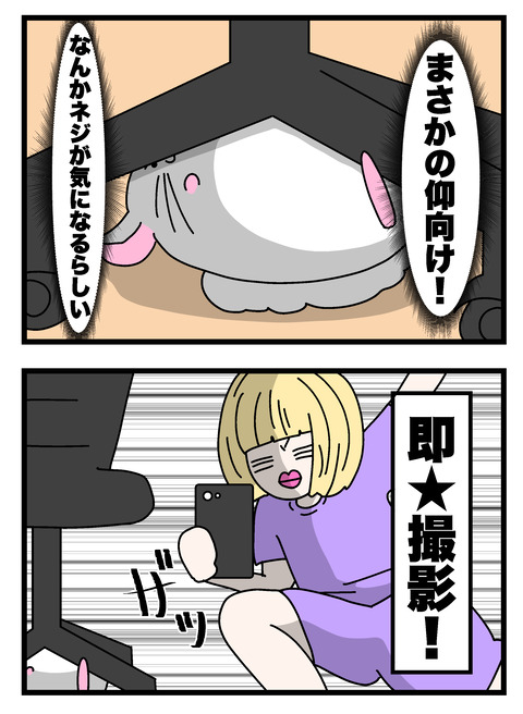 個展で入れたやつ_004 copy