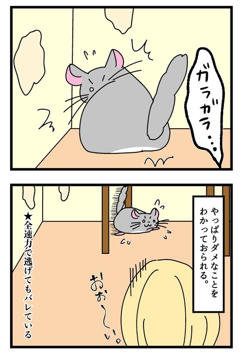 チンチラ漫画１_001のコピー