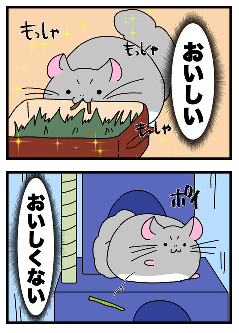 個展で入れたやつ_017 copy 3