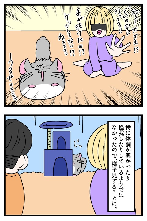 コミック68_004のコピー2