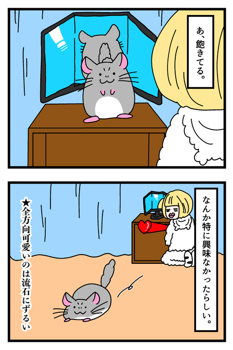 チンチラ漫画10〜16_014のコピー3