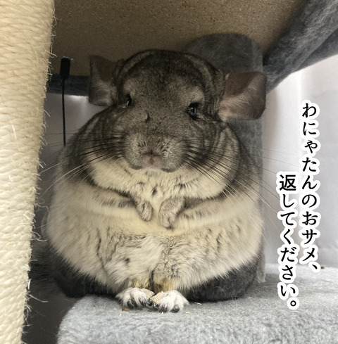 コミック68_056