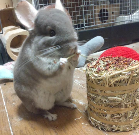 59EE4420-49C1-403D-AAEE-68055536FF69