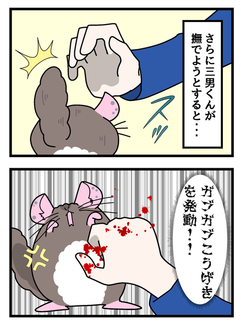 コミック4-6_005のコピー2