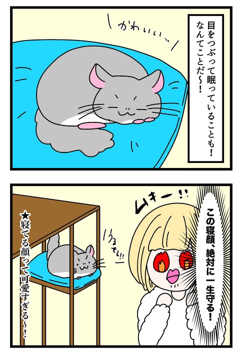 チンチラ漫画6~9_007のコピー3