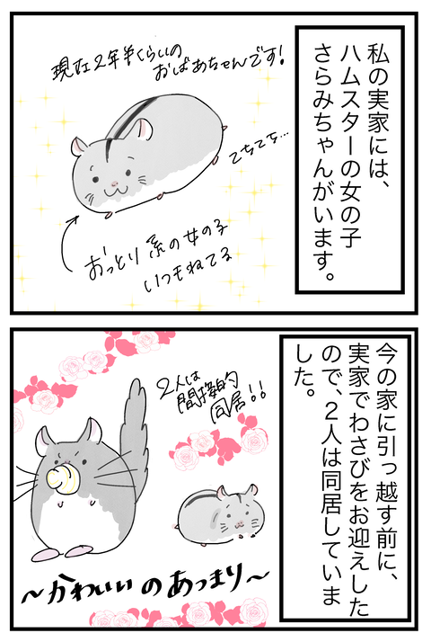 最新さらみ