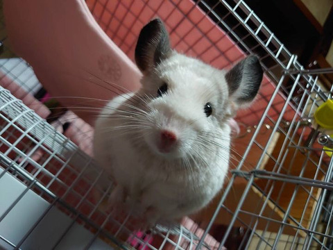 0DAE2CB3-5B48-4777-8EF8-4A412B146452