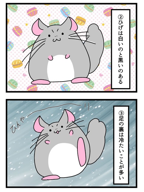 個展で入れたやつ_008 copy 2