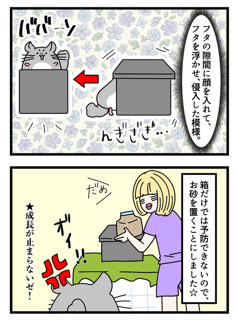 個展で入れたやつ_012