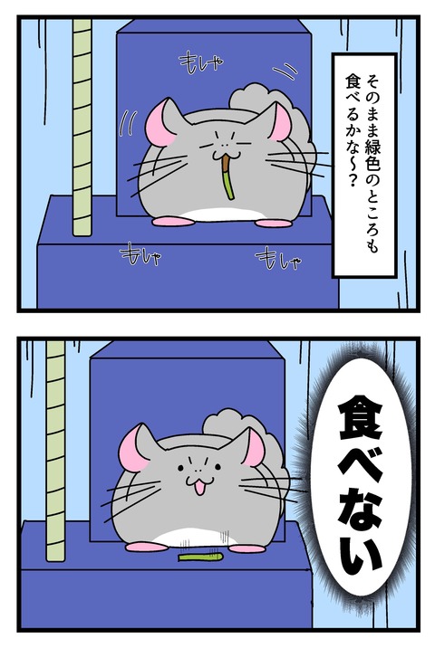 コミック67_011のコピー2