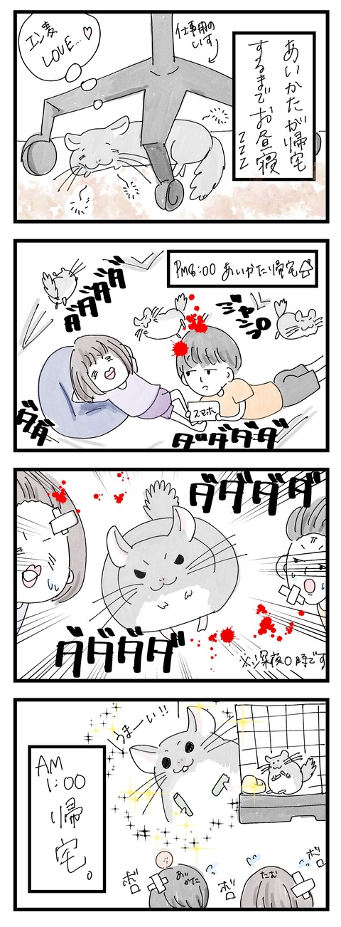 へやんぽ2枚目