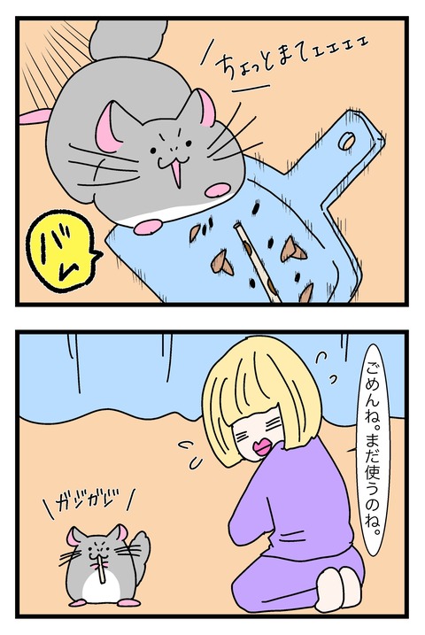 漫画_011のコピー2