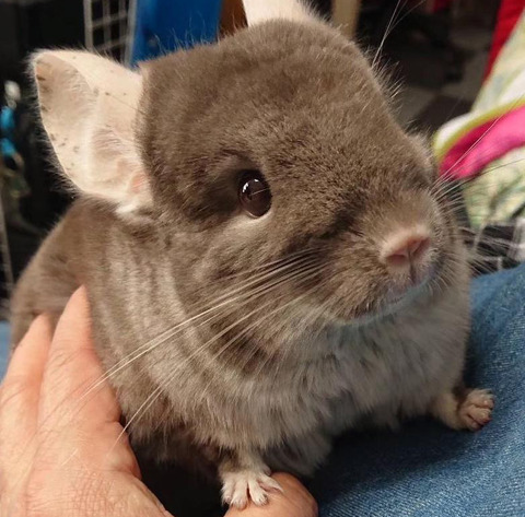 94CBBC04-3116-4FF8-BB3D-48C60A414C7F