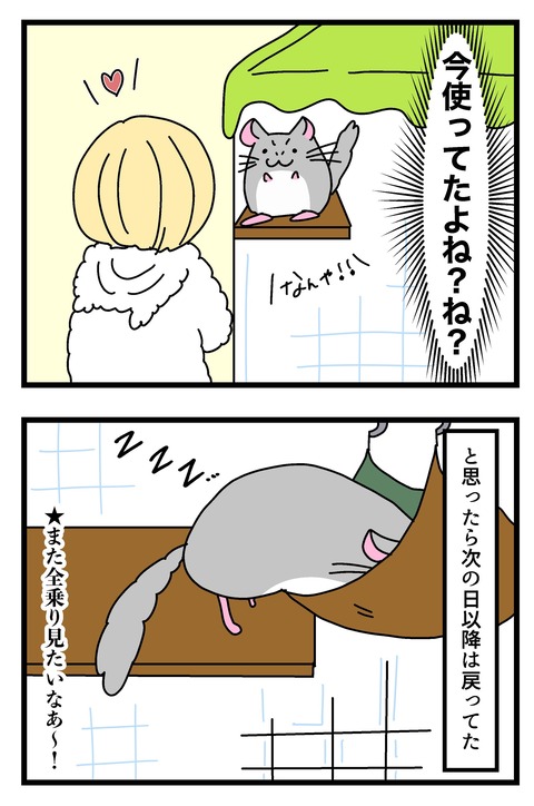 ハンモック〜_011のコピー3