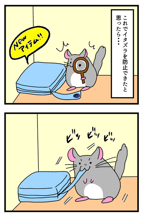 チンチラ漫画10〜16_012のコピー