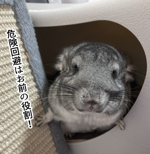 コミック66１_005