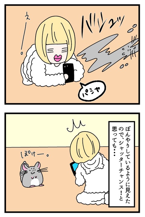 17〜２０チンチラ漫画１_018のコピー