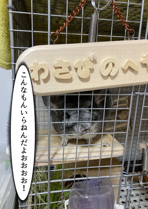 個展に出した画像_026