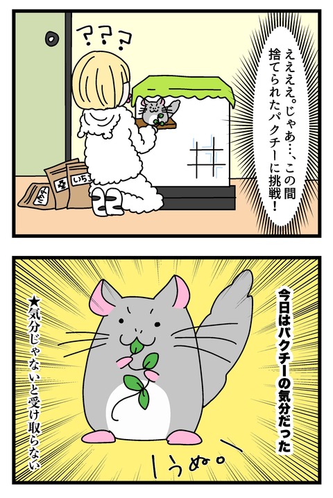 チンチラ漫画１_002のコピー3
