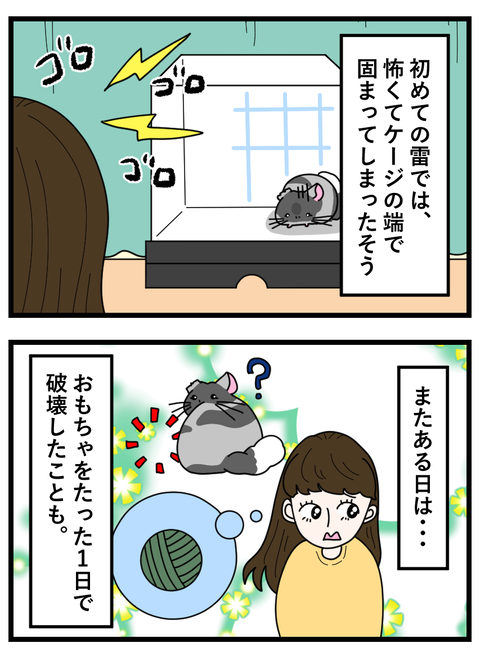 わさびとぐうたらフレンド日記_030 copy