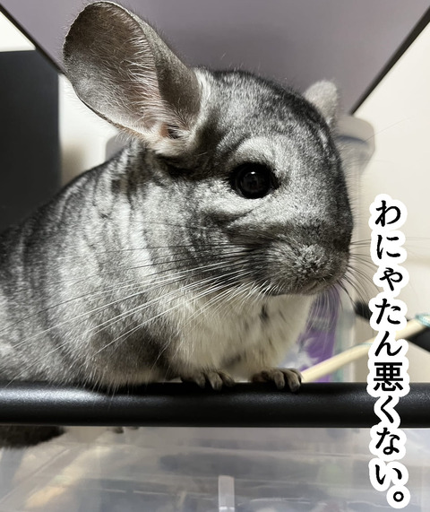 コミック65_016
