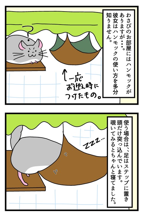 ハンモック〜_011