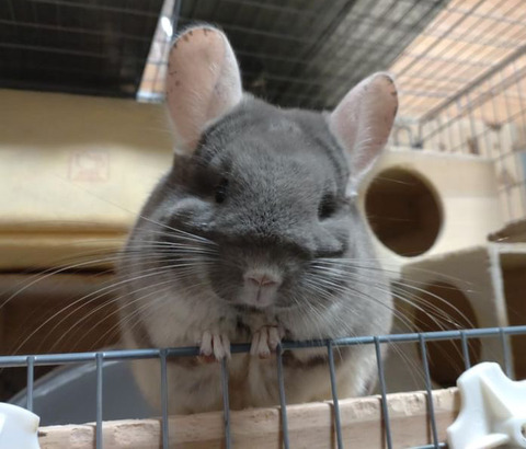 2FE0003B-25C6-4C72-9A03-2142423DAED0