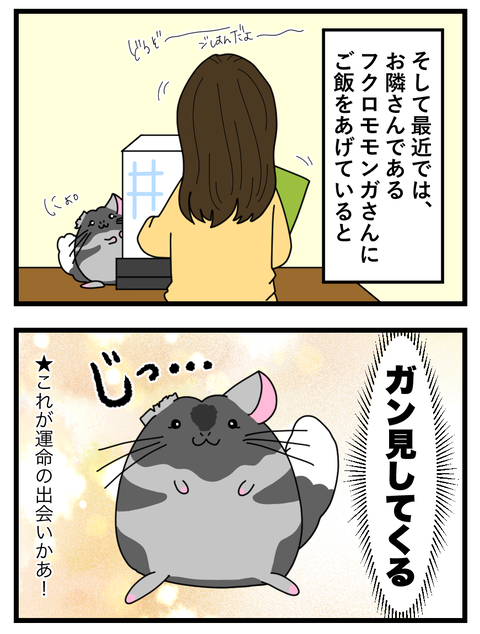 わさびとぐうたらフレンド日記_030