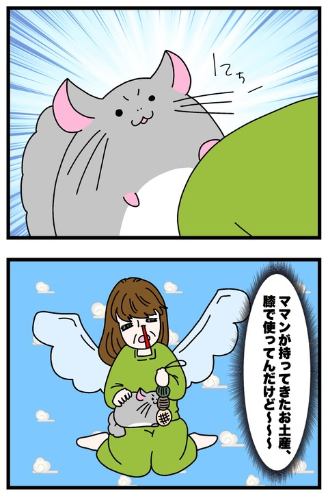 コミック67_004のコピー2