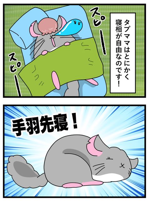 わさびとぐうたらフレンド日記本ぺん_054 copy 3