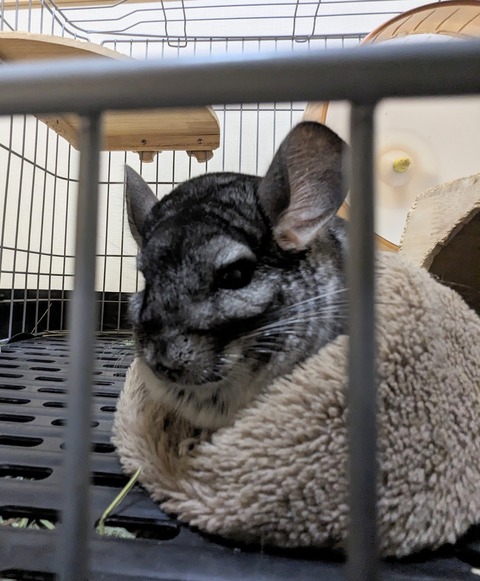 PXL_20230917_121633348 - mofu. non