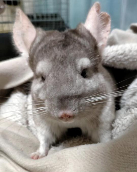 BAAEA4AB-E23F-4A4A-A96F-C815B3D65D88