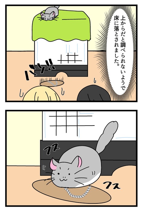 tiramanga_003のコピー2