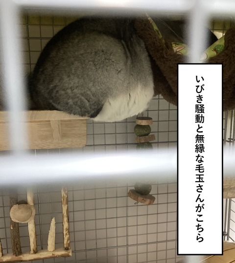 コミック69_052