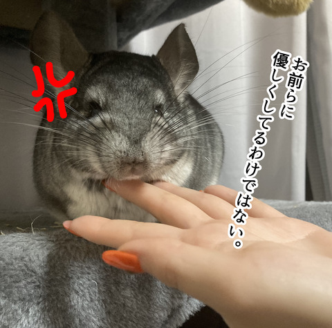 コミック66１_006