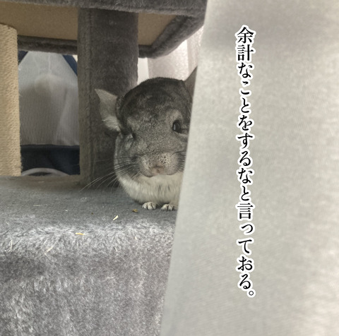 コミック66_066