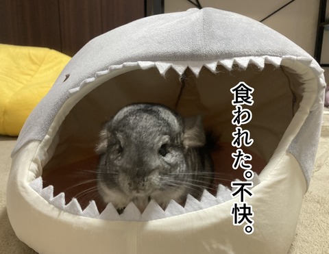 コミック65_013