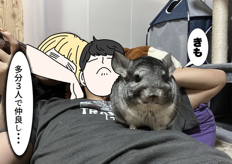 個展に出した画像_028