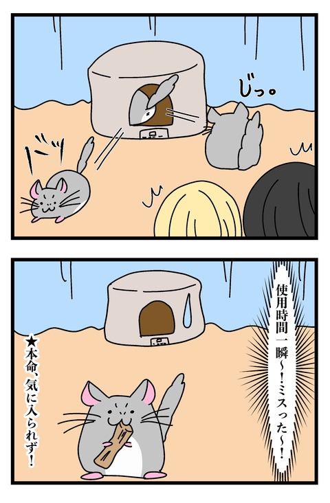 チンチラ漫画3~5_005のコピー3