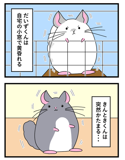 14~16_016 copy 3