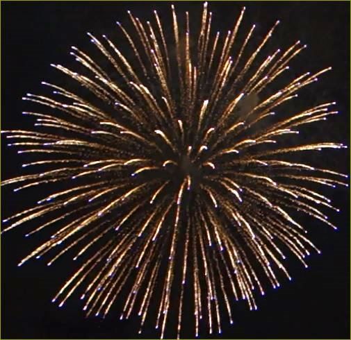 府中競馬場花火大会13 Wasakisanのblog