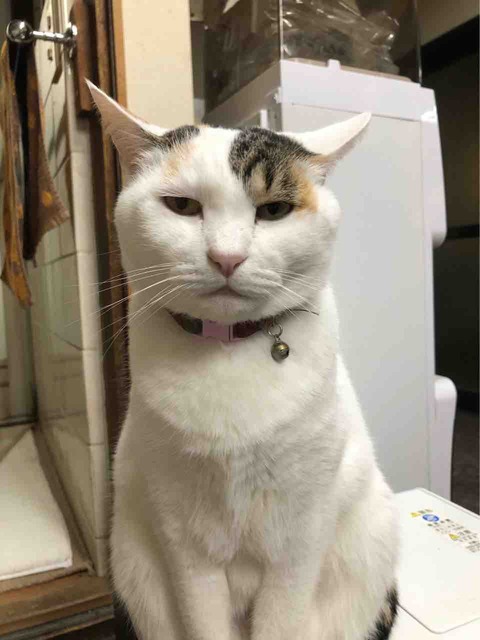 F8254238-3796-480D-BDF8-95749DC0D2B1