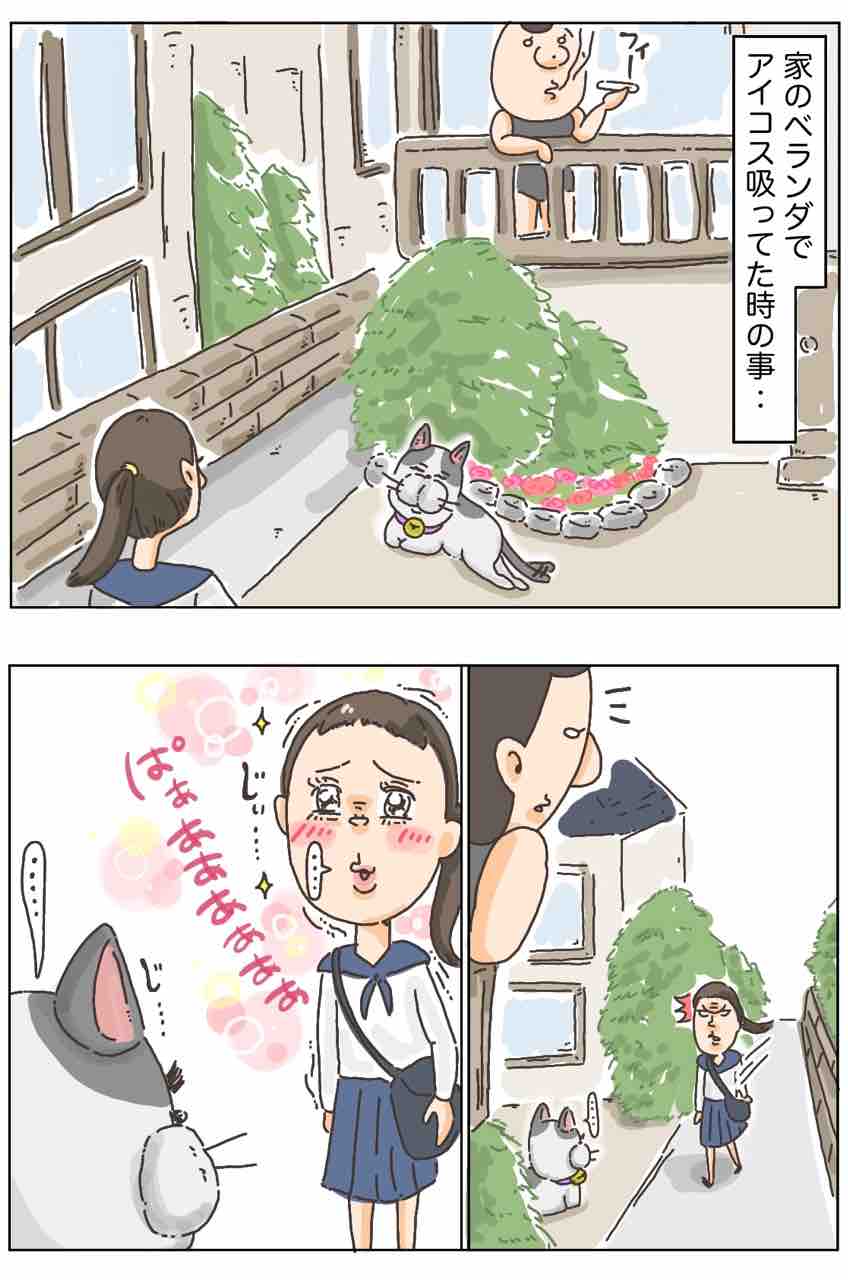 うちの毛玉を手懐ける強者がいようとは おぬし もしかして アラサー独女茨道