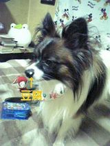 d221074d.jpg