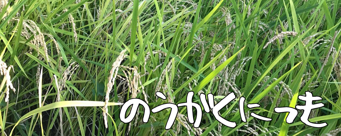 農楽日記 イメージ画像